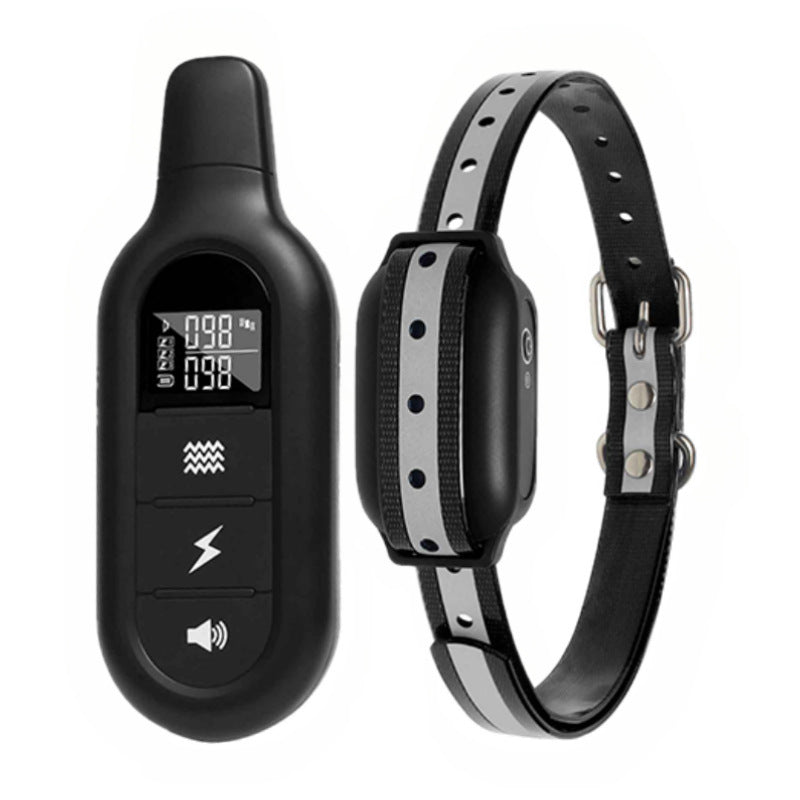 Pets & Accessories